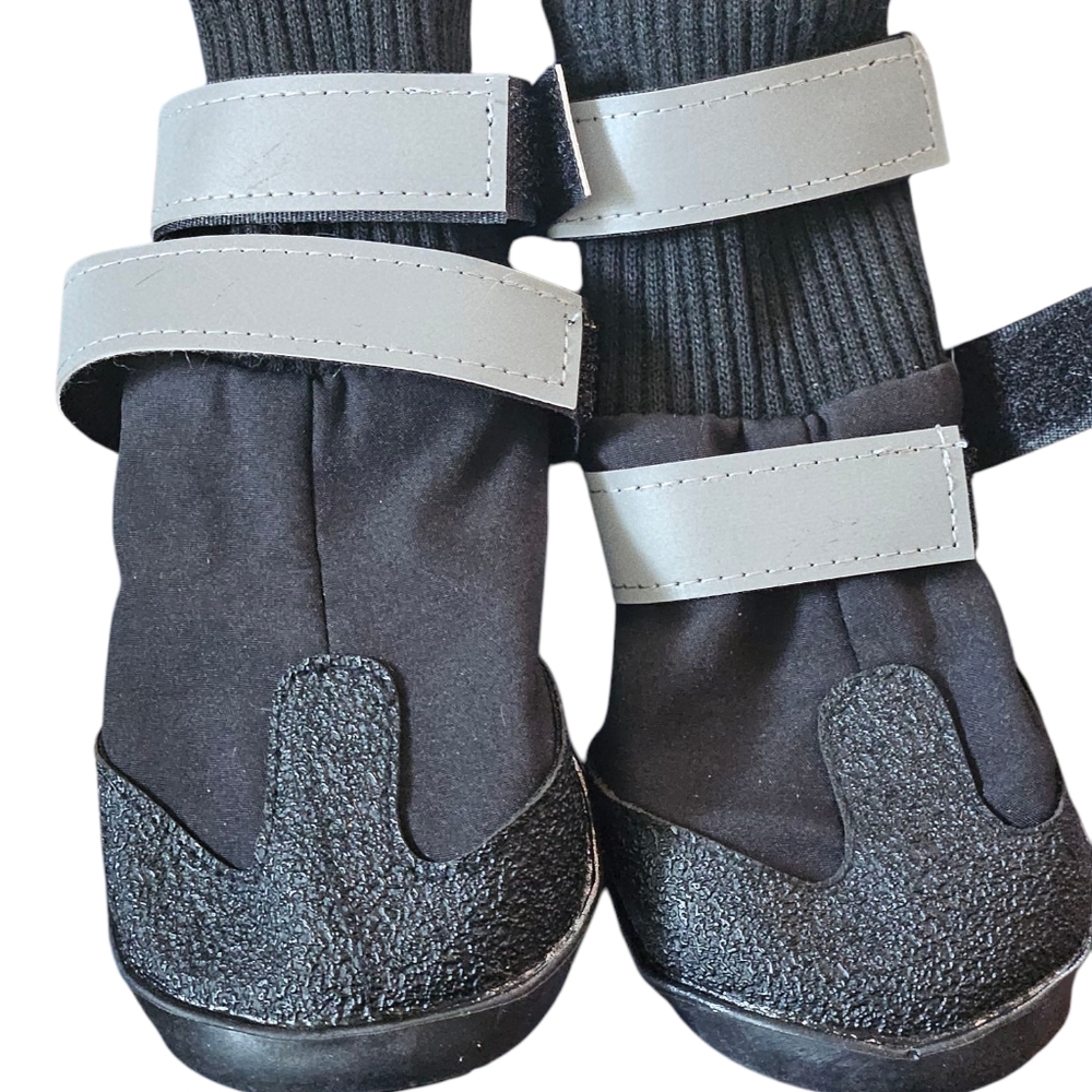 Black and Gray Dog Shoes